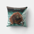 Search for orangutan cushions Primate