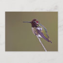 Search for annas postcards Small bird