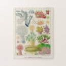 Search for biology puzzles Vintage