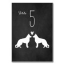 Search for white german shepherd Dog