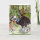 Search for cassowary Queensland