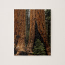 Search for hiking trails puzzles Hike