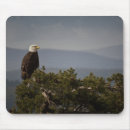 Search for bald mousepads Eagle