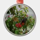 Search for caterpillar christmas tree decorations Leaves