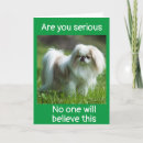 Search for new job cards Promotion