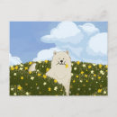 Search for samoyed dog postcards Cute