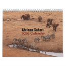 Search for giraffe calendars Photography