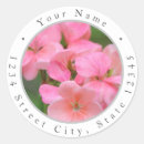 Search for petal return address labels Modern