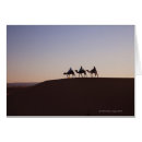 Search for riding photography People
