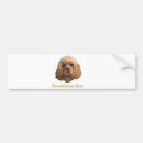 Search for spaniels bumper stickers Cute