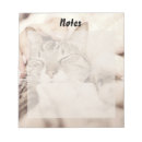 Search for little notepads Cat
