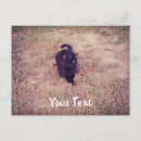 Search for cute halloween greeting postcards Autumn