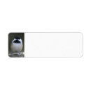 Search for chickadee return address labels Bird