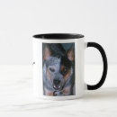Search for blue heelers mugs Acd