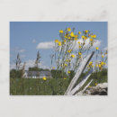 Search for vermont postcards Country
