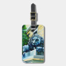 Search for a classy cat accessories Elegant