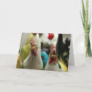 Search for antique chickens cards White