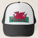 Search for welsh dragon hats Flag