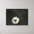 Search for bee canvas prints Flower