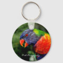 Search for lorikeet key rings Rainbow