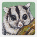 Search for sugar gliders stickers Flying squirrel