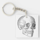 Search for anatomy key rings Skull