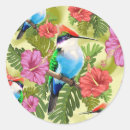 Search for hummingbird stickers Animals
