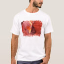 Search for antelope mens tshirts Rock