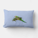 Search for parakeet cushions Tropical