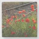 Search for tracks coasters Nature
