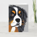 Search for bernese mountain dog cards Canine