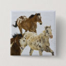 Search for running horses badges Mountains