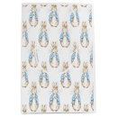 Search for rabbit gift bags Watercolor