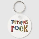 Search for terrapin Design