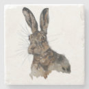 Search for hare barware Wildlife