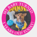 Search for 5 years old stickers Birthday party