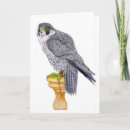 Search for falcone cards Falconry