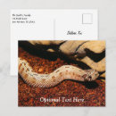 Search for pets horizontal postcards Wild