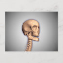 Search for 3 dimensional postcards Bone