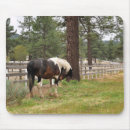 Search for paint horses mousepads Mare