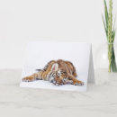 Search for wildcat cards Cute baby animal