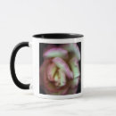 Search for delicate rose mugs Affection