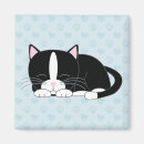 Search for kitty magnets Black and white cat