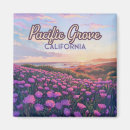 Search for pacific magnets California