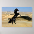 Search for stallion posters Equestrian