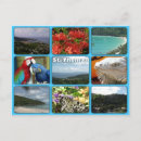 Search for iguana image Photography