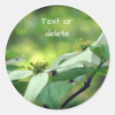 Search for dogwood flowers stickers Floral