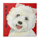 Search for highland tiles Westy