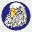 Search for american bald eagle stickers Bird