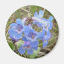 Search for blue wildflower magnets Wildflowers
